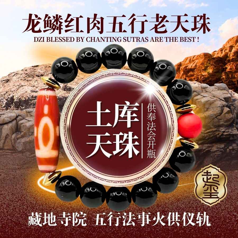 龙鳞红肉五行老天珠 Dragon Scale Red Agate Five Element Dzi Bead